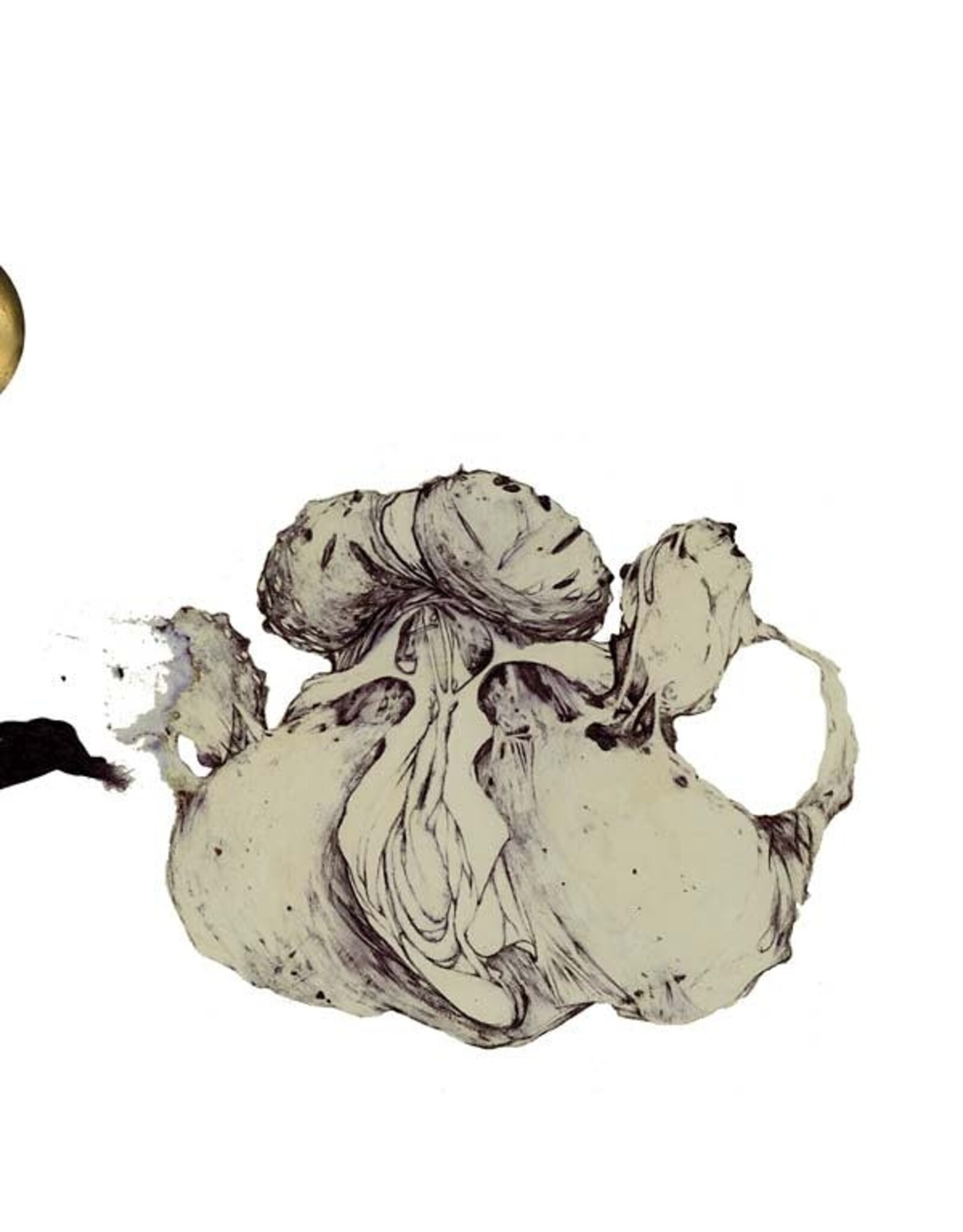 Important Coil: The Ape Of Naples LP