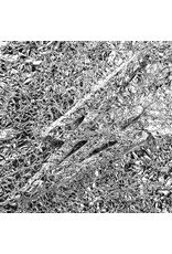 Karma Chief Say She She: Silver (Transparent Pink) LP