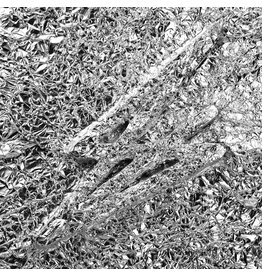 Karma Chief Say She She: Silver (Transparent Pink) LP