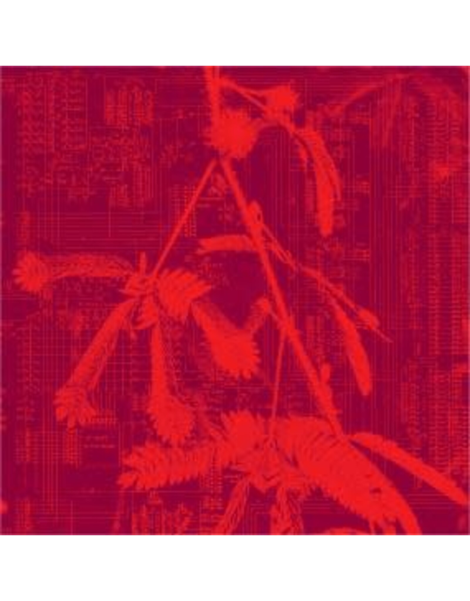 Holuzam Hidden Horse: Incorporeal LP