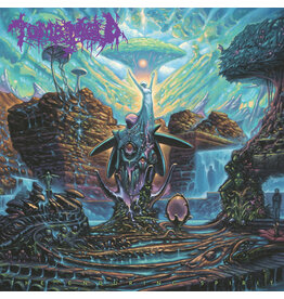 20 Buck Spin Tomb Mold: The Enduring Spirit (Colour) LP
