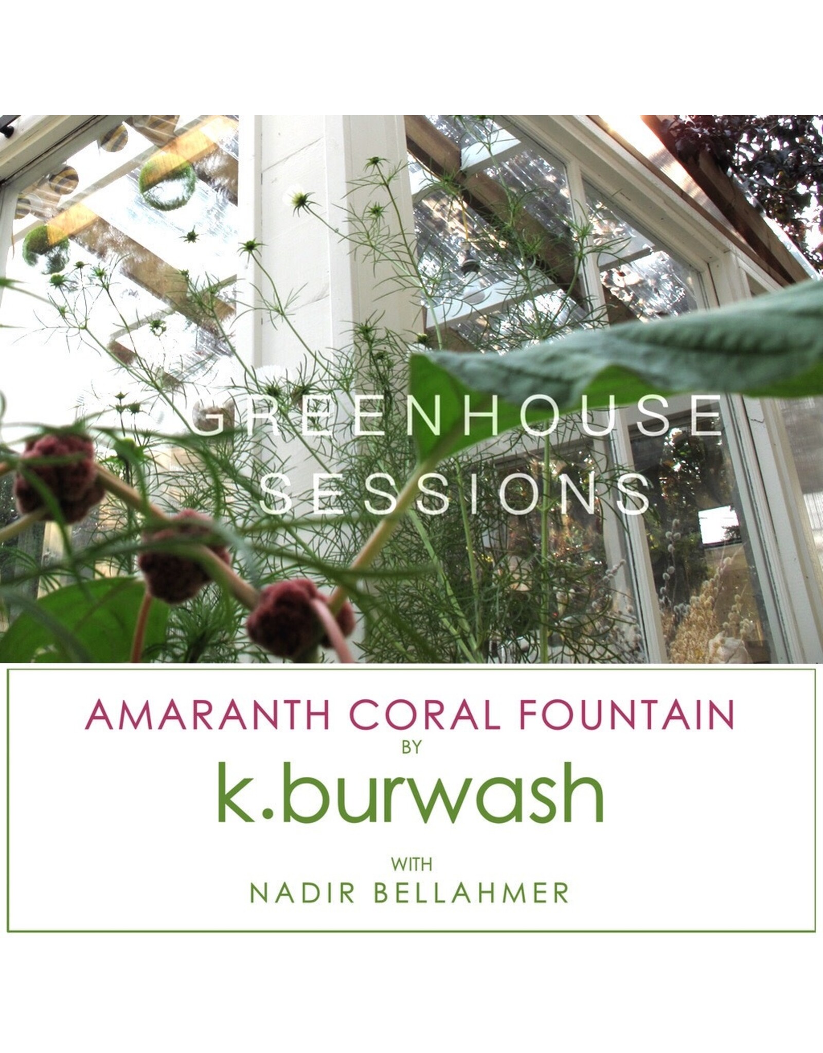 k.burwash w/ Nadir Bellahmer: Amaranth Coral Fountain CS