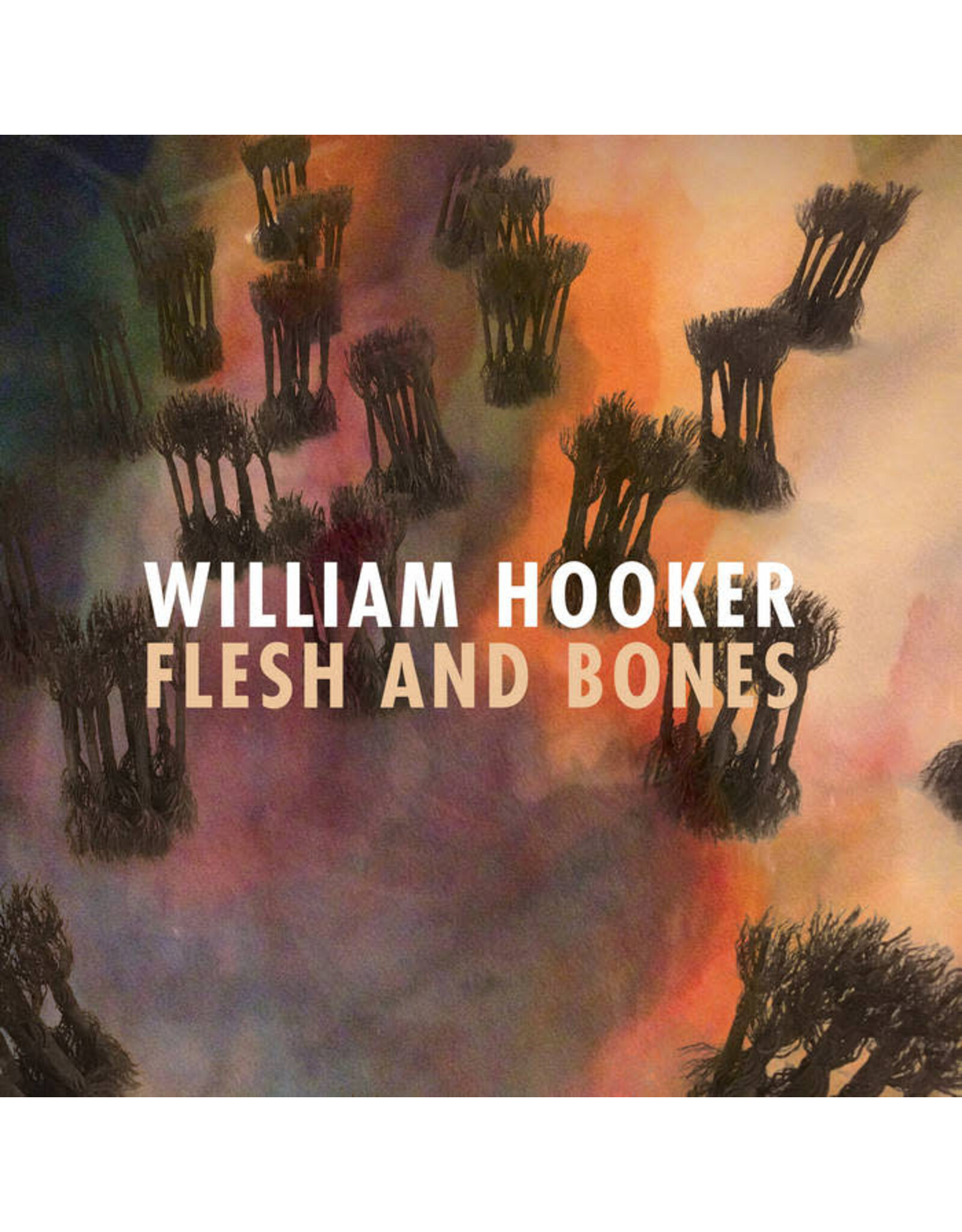 ORG Hooker, William: Flesh And Bones LP