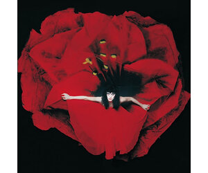 【未開封】『Adore』The Smashing Pumpkins LP Adore Vinyl – The Smashing Pumpkins