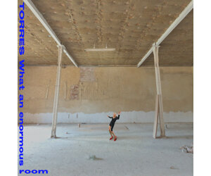 Torres: What An Enormous Room (Peak Vinyl indie shop edition