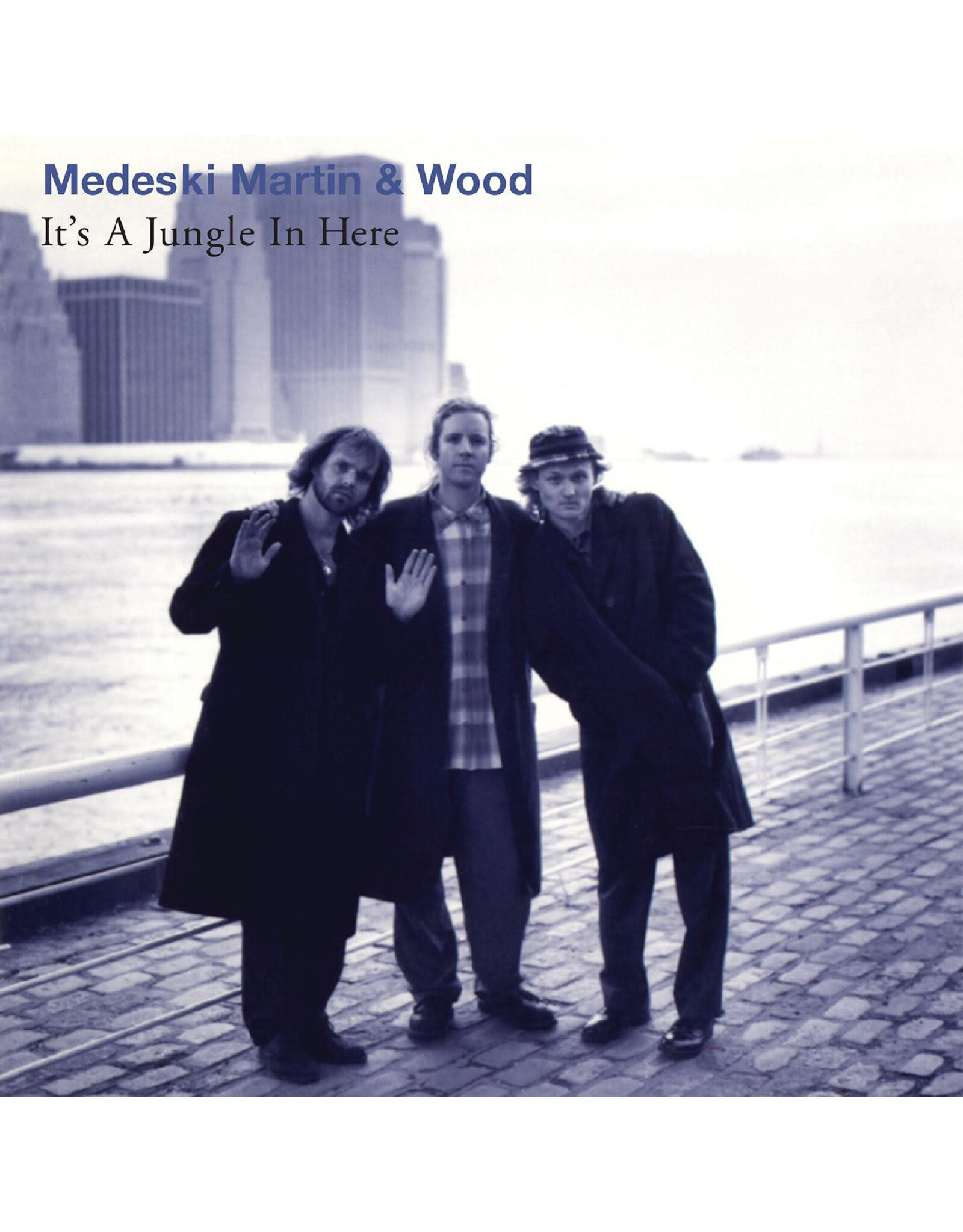 Real Gone Medeski, Martin & Wood: It's a Jungle in Here LP