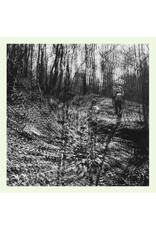 Dark Entries Topographies: Interior Spring LP