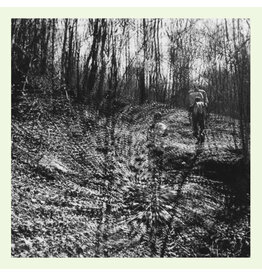 Dark Entries Topographies: Interior Spring LP