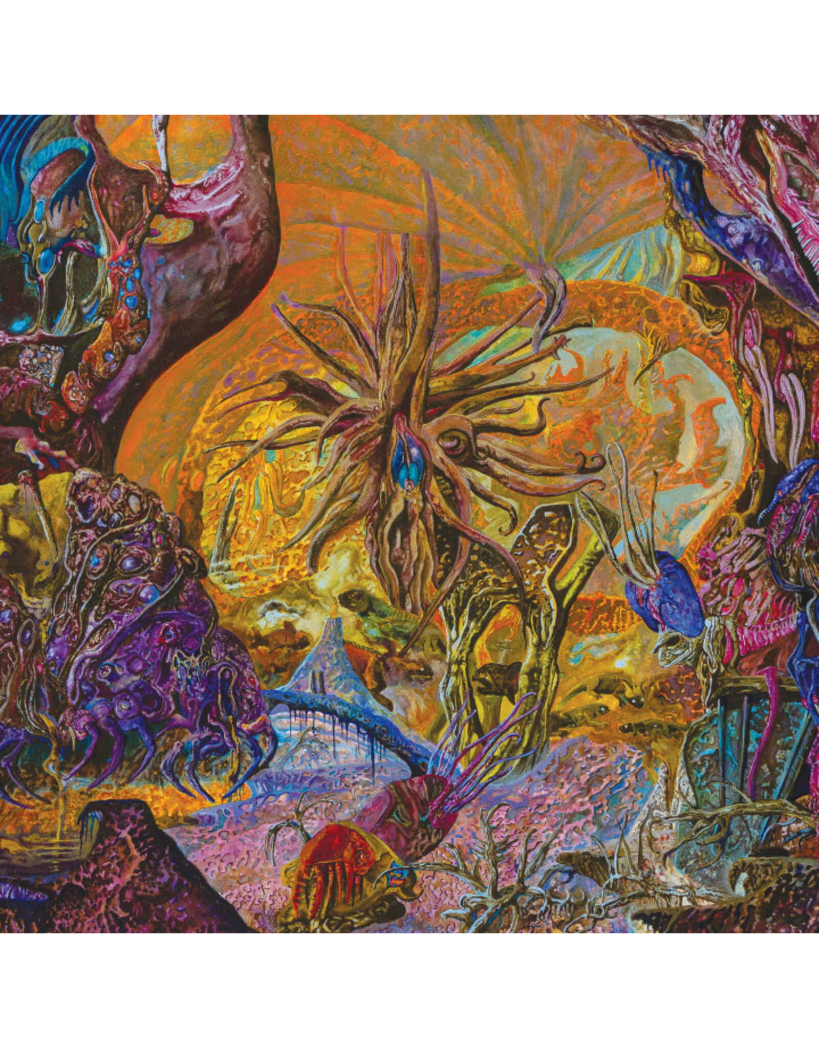 20 Buck Spin Slimelord: (color) Chytridiomycosis LP
