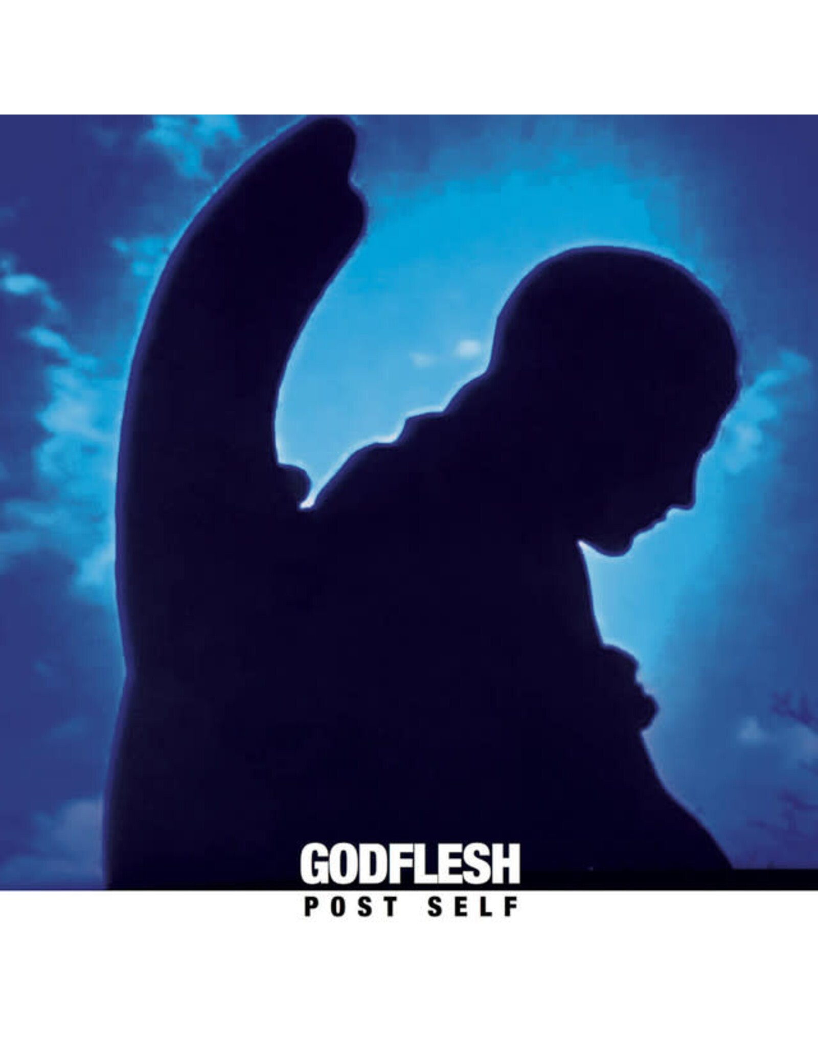 Godflesh: Post Self LP