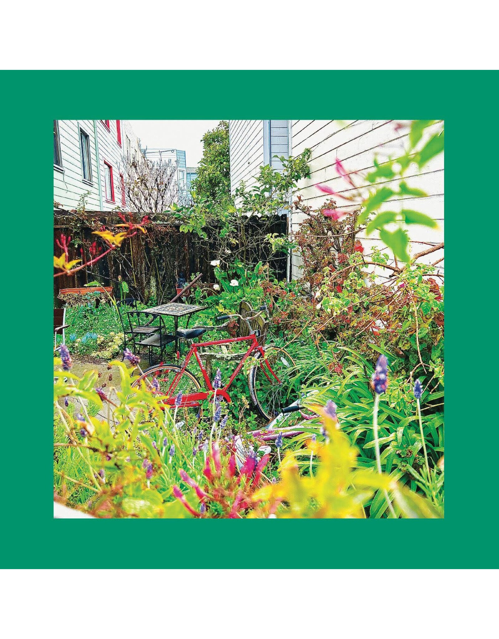 Slumberland Reds, Pinks & Purples, The: Unwishing Well (NASTURTIUM ORANGE) LP