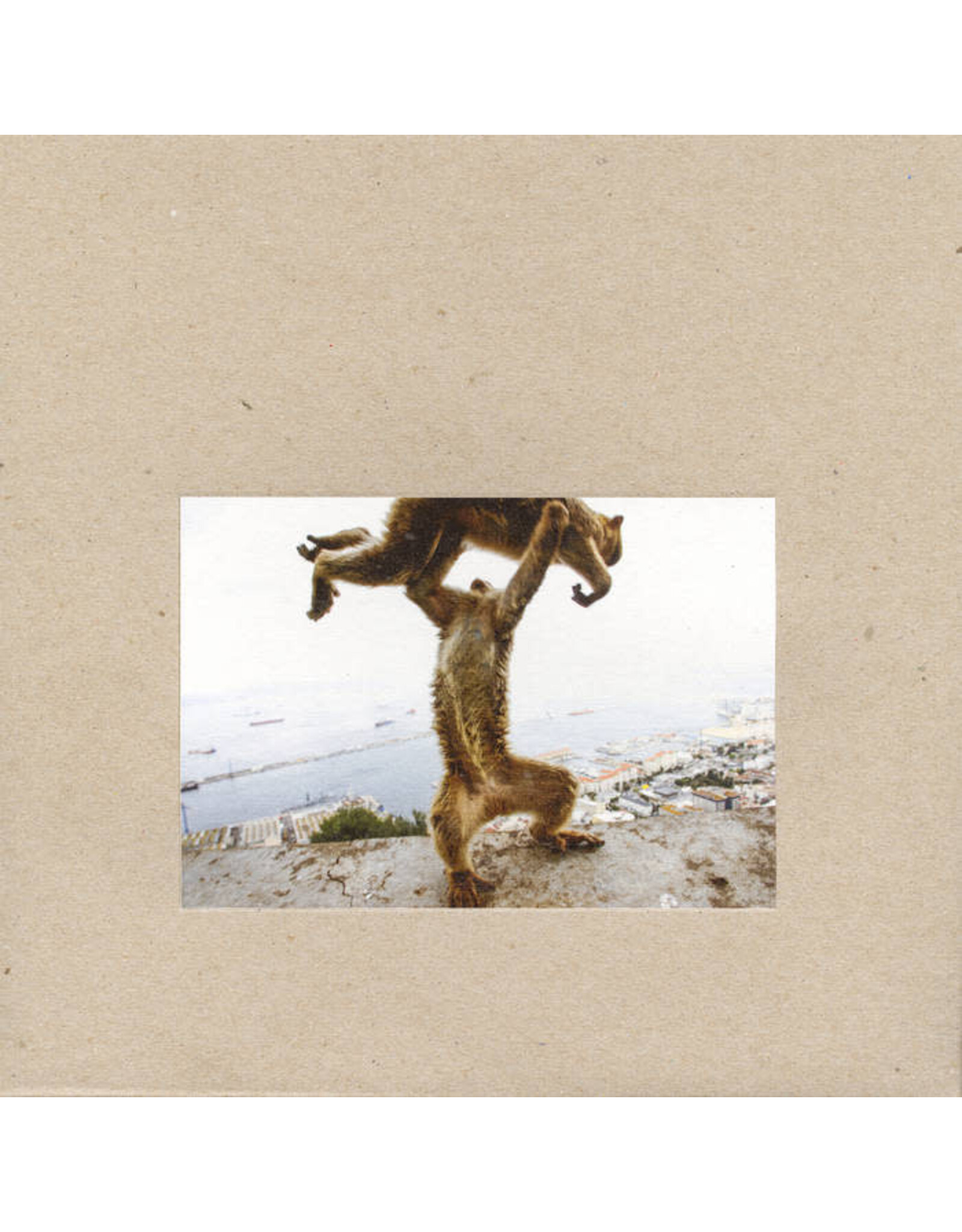 Touch & Go Shellac: Dude Incredible LP