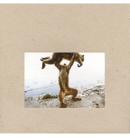 Touch & Go Shellac: Dude Incredible LP