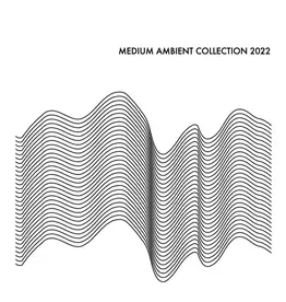 Diskunion Various: Medium Ambient Collection 2022 (White) LP