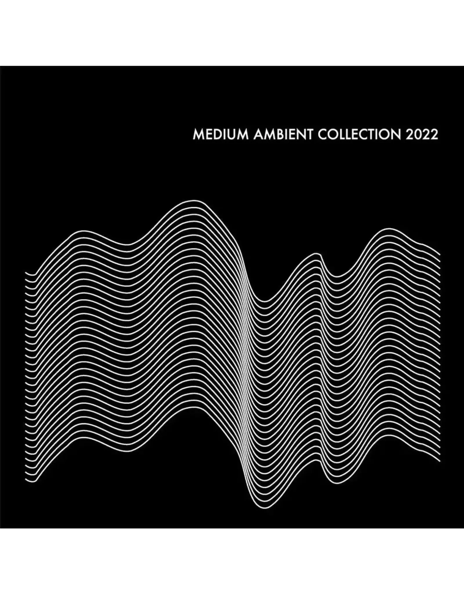 Diskunion Various: Medium Ambient Collection 2022 (Black) LP