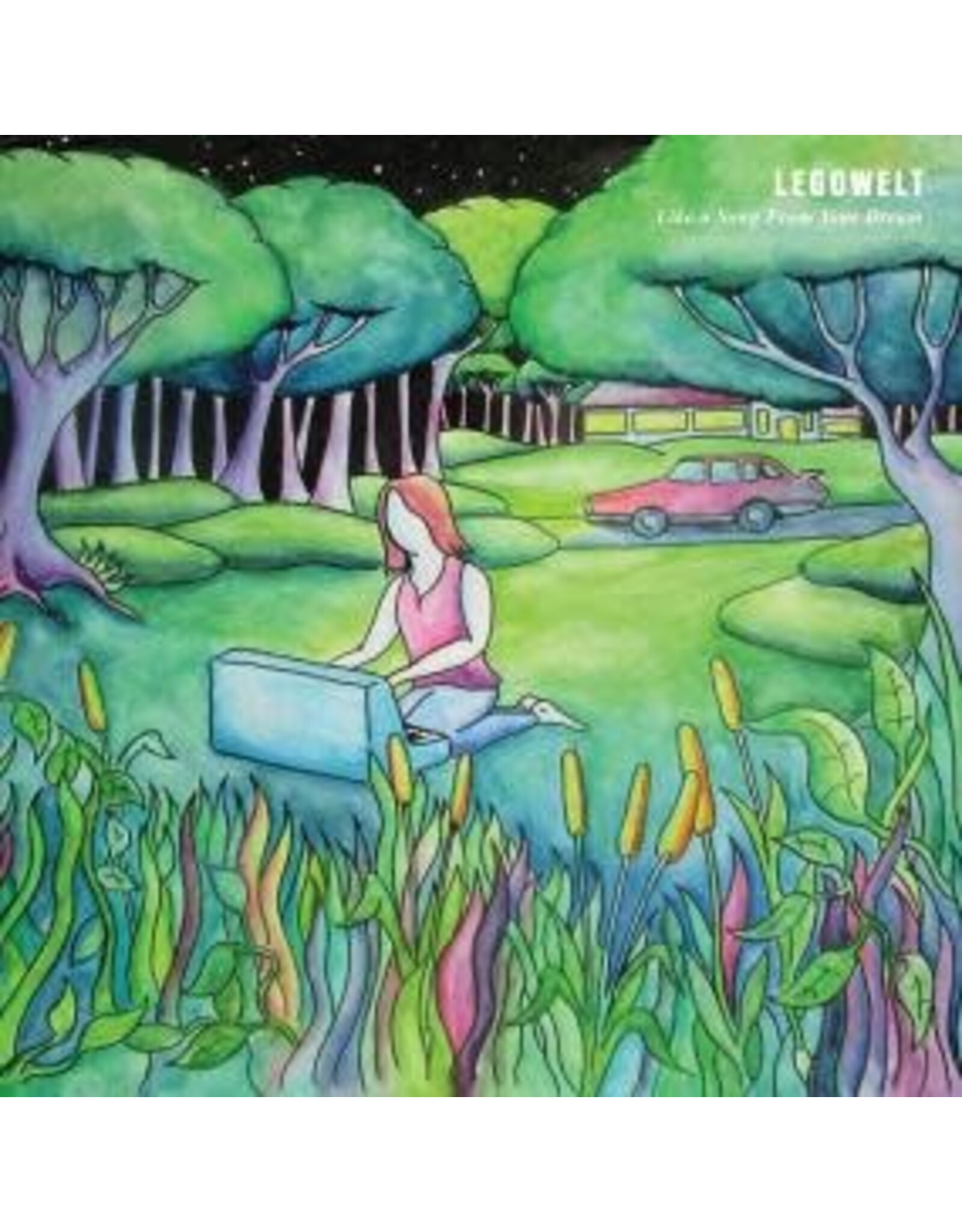 L.I.E.S. Legowelt: Like a Song from Your Dream LP