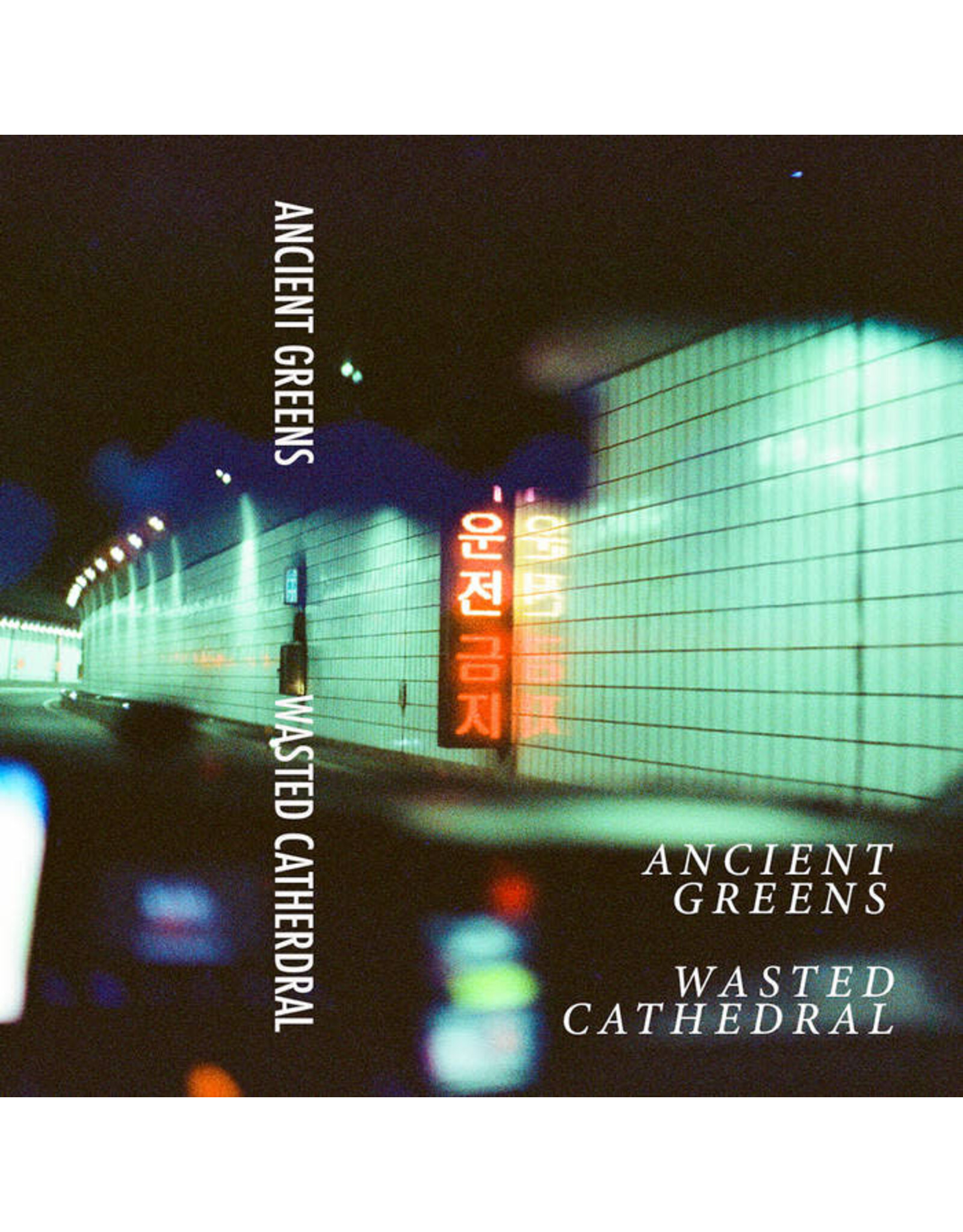 We Here & Now Ancient Greens / Wasted Cathedral: Split CS