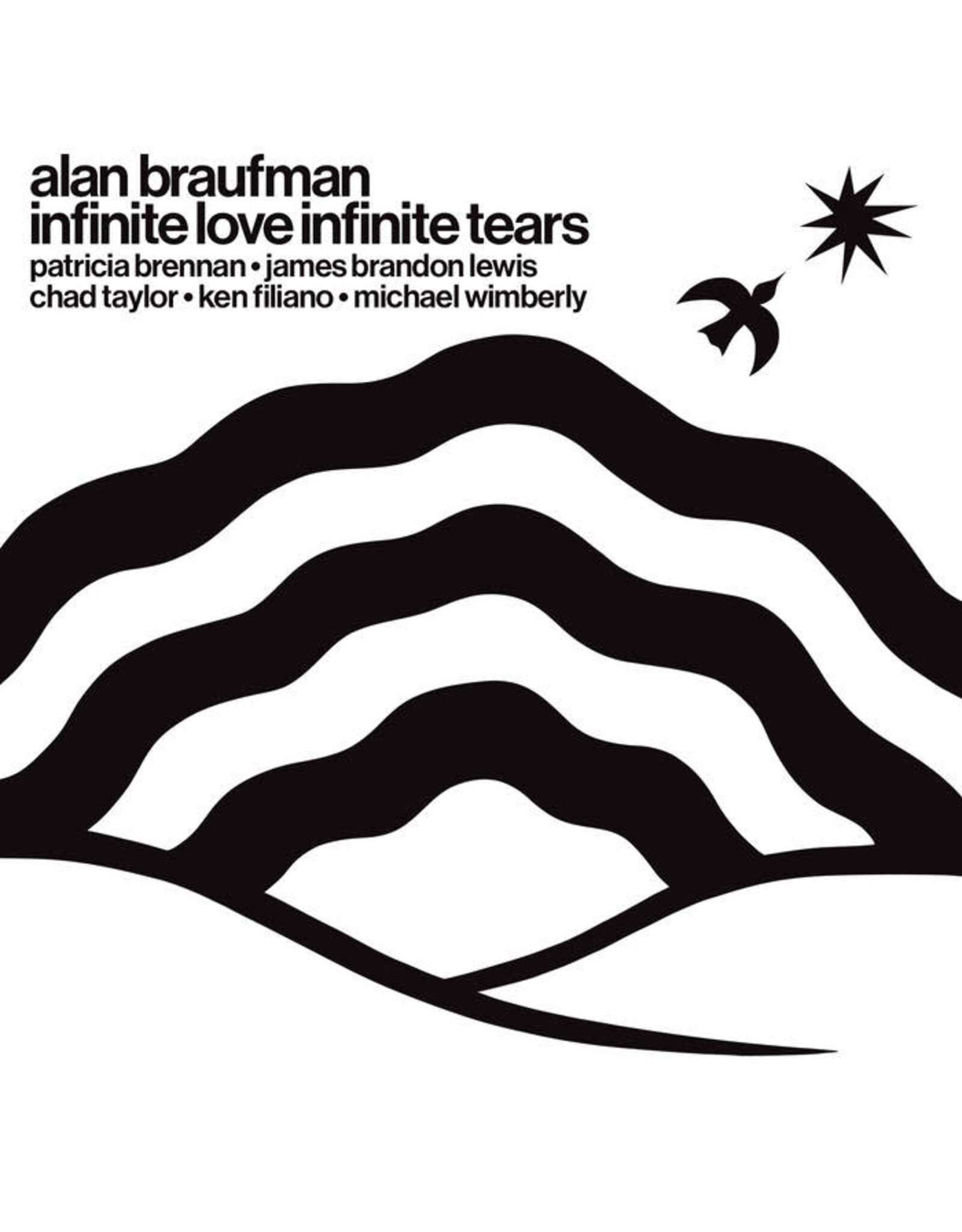 Valley of Search Braufman, Alan: Infinite Love Infinite Tears LP