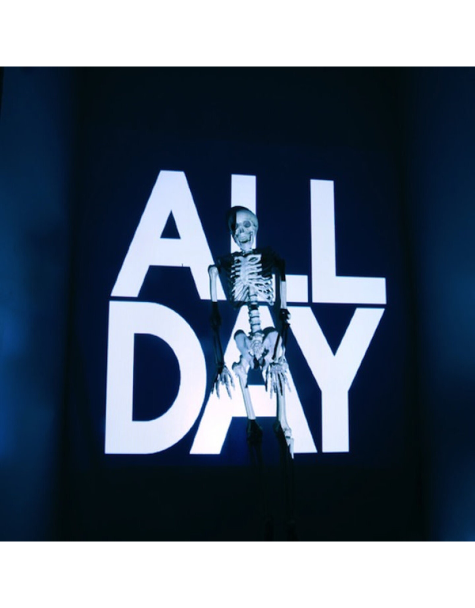 Girl Talk: All Day LP