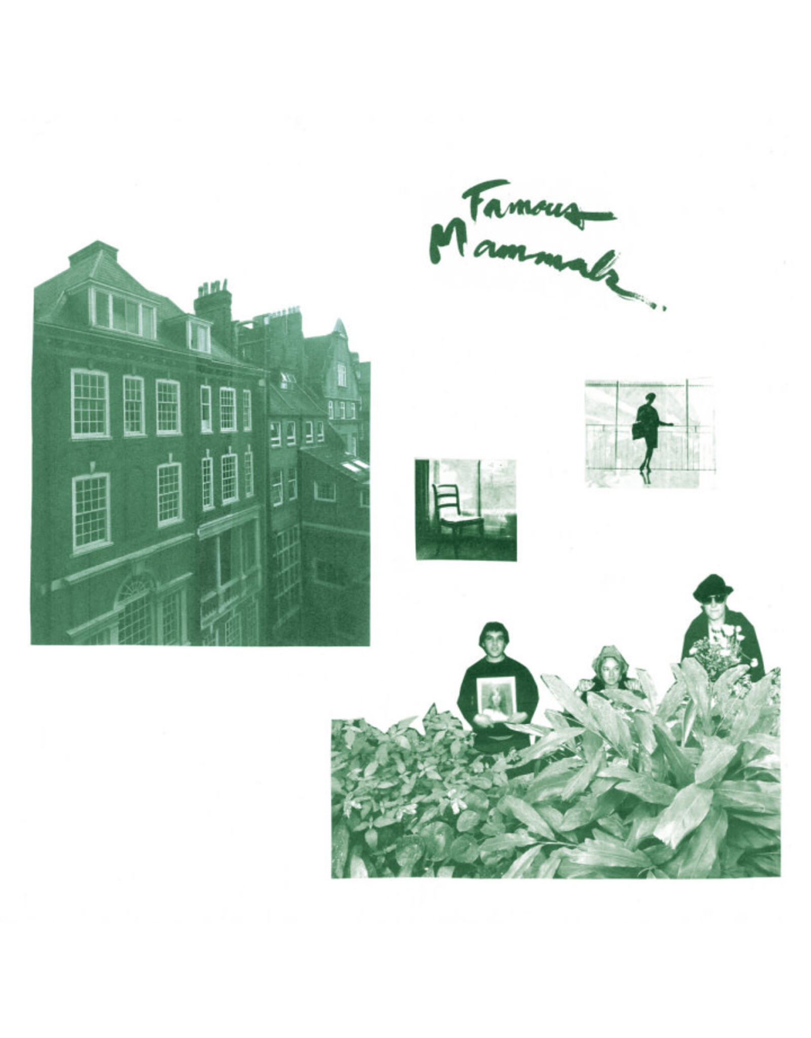 Famous Mammals: s/t LP