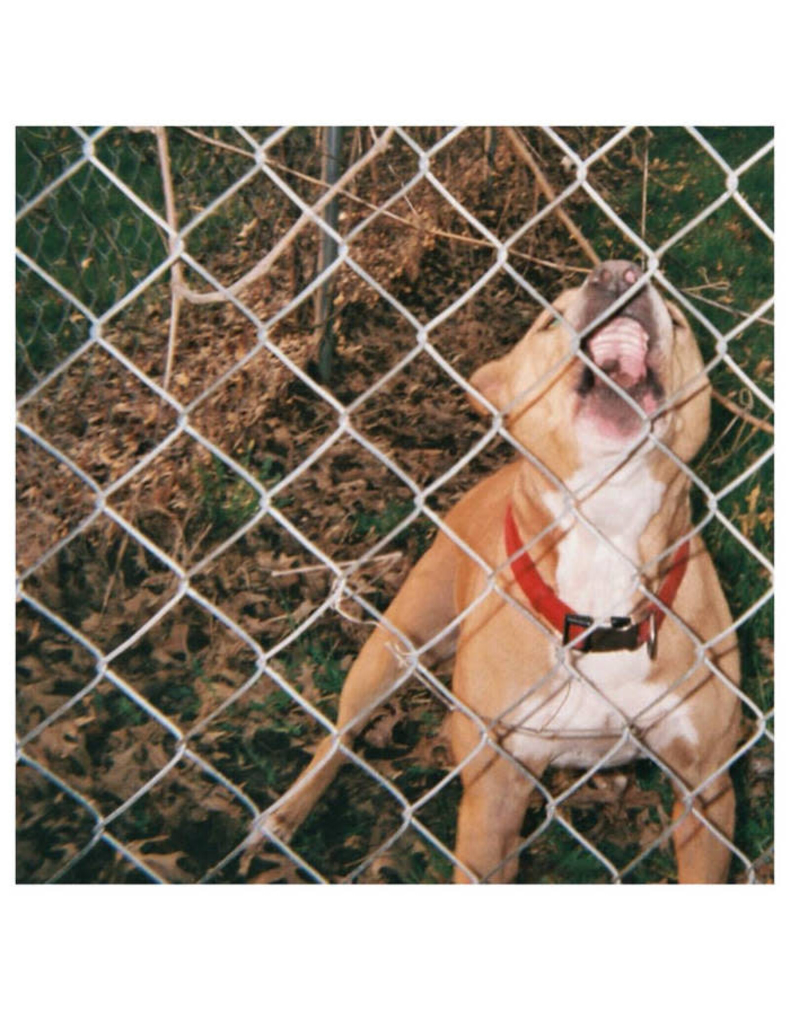 Pure Noise Knocked Loose: Pop Culture (Lavender) LP