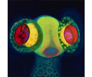 Osees: Sorcs 80 (color) LP - Listen Records