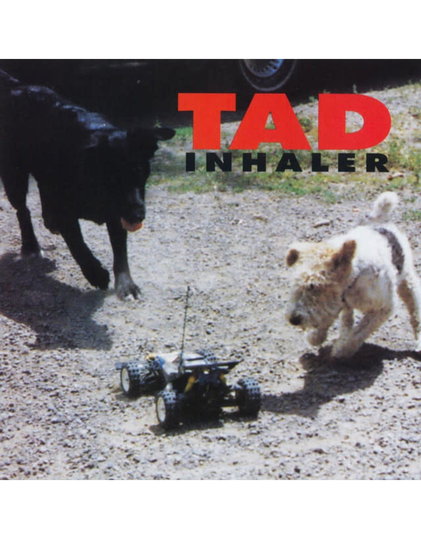 Music on Vinyl Tad: Inhaler (180g magenta) LP