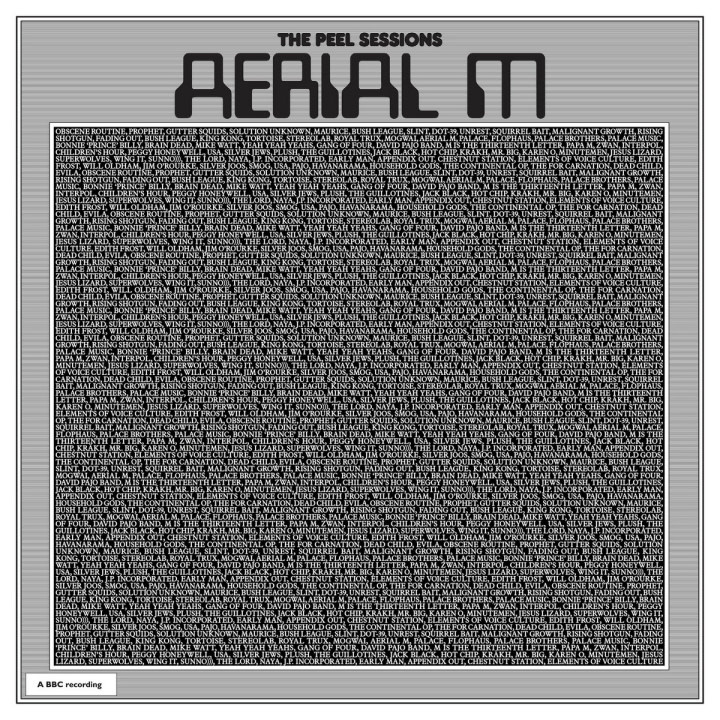 LP AERIAL M The Peel Sessions DC912 Drag City US Vinyl | eBay