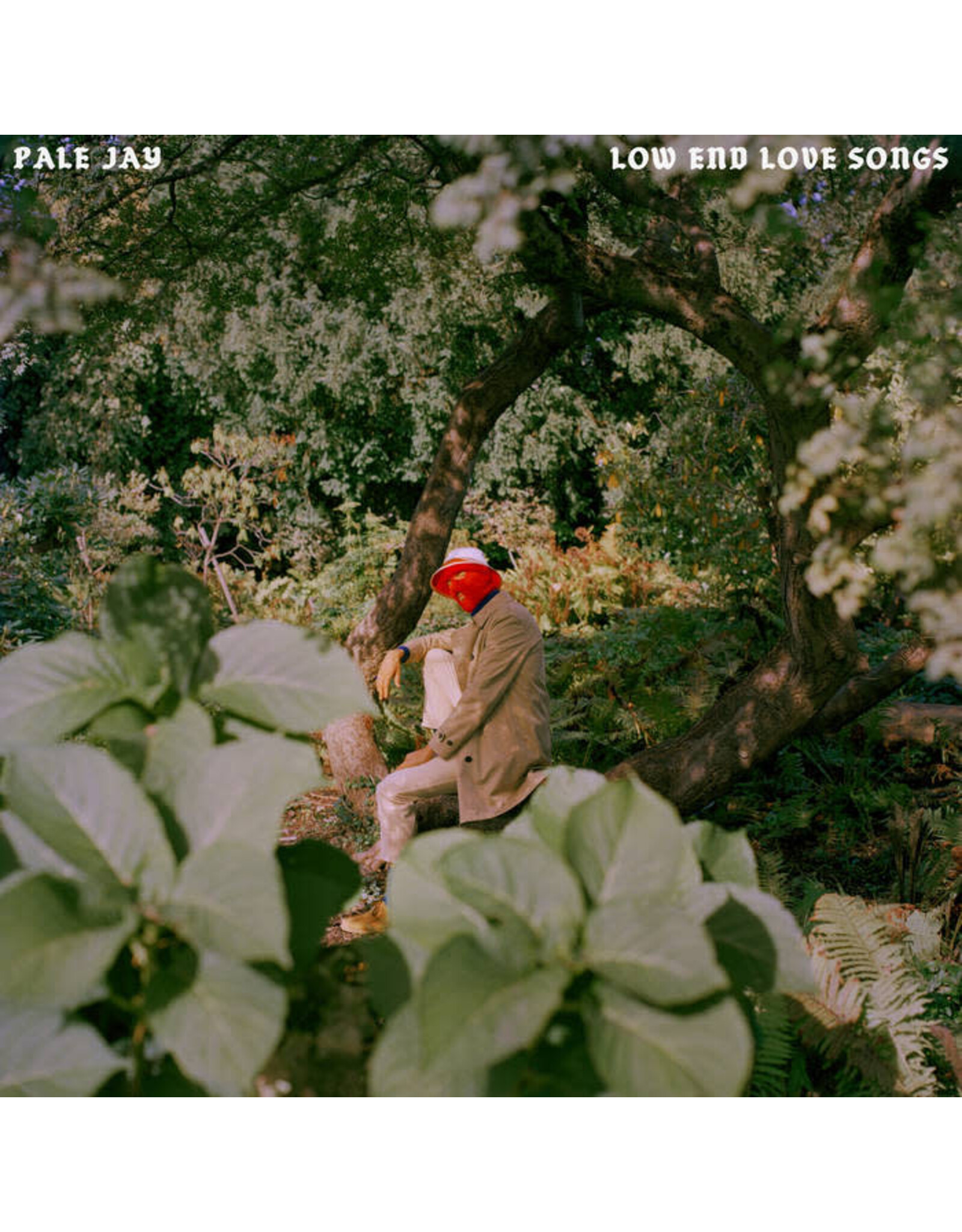 Colemine Pale Jay: Low End Love Songs (storm cloud grey) LP