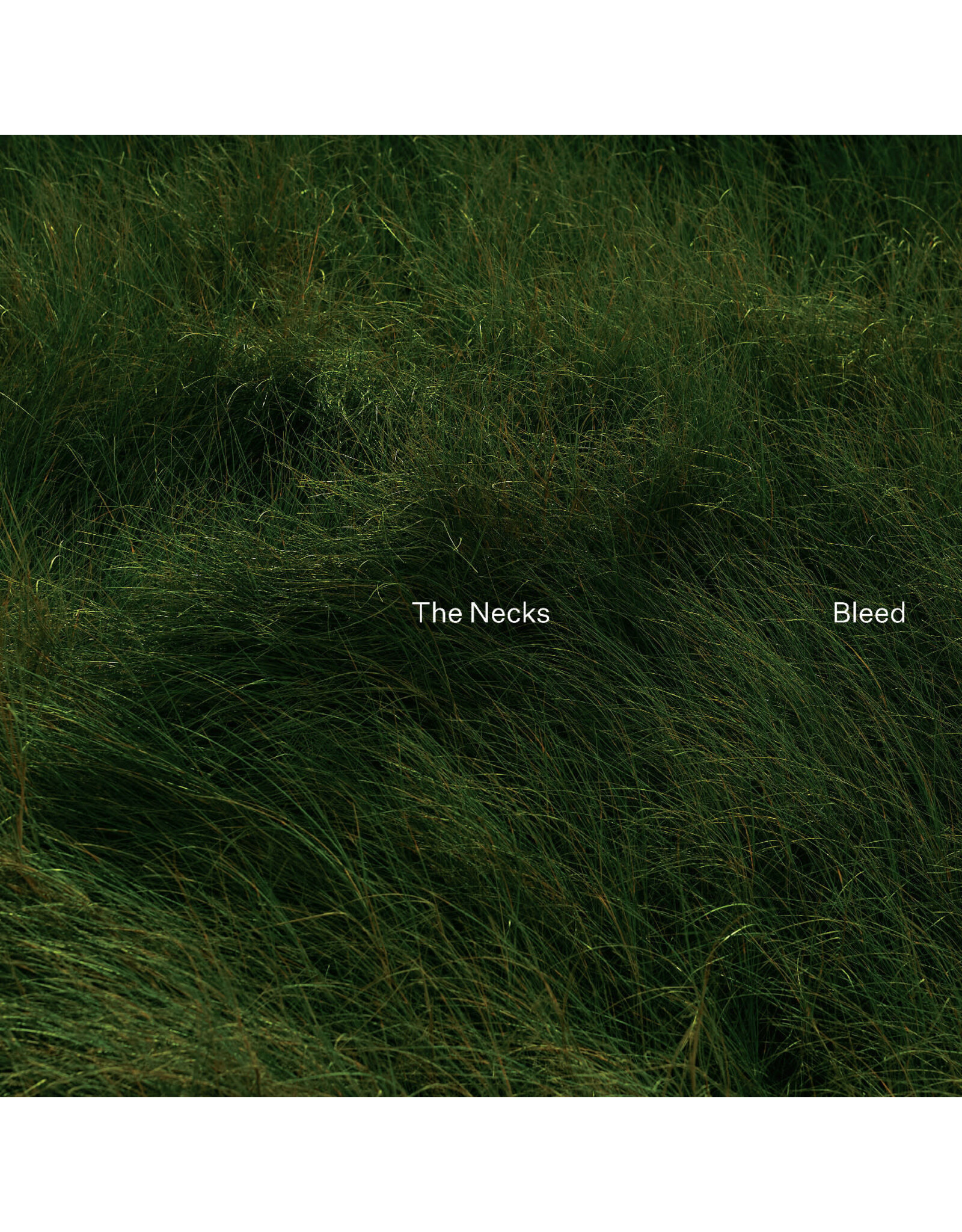 Northern Spy Necks, The: Bleed (INDIE EXCLUSIVE, GREEN) LP