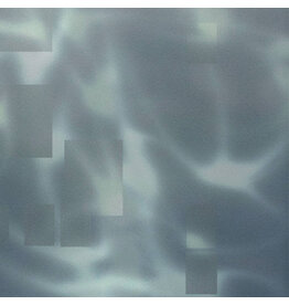 CHANTSSSS: Shyness LP