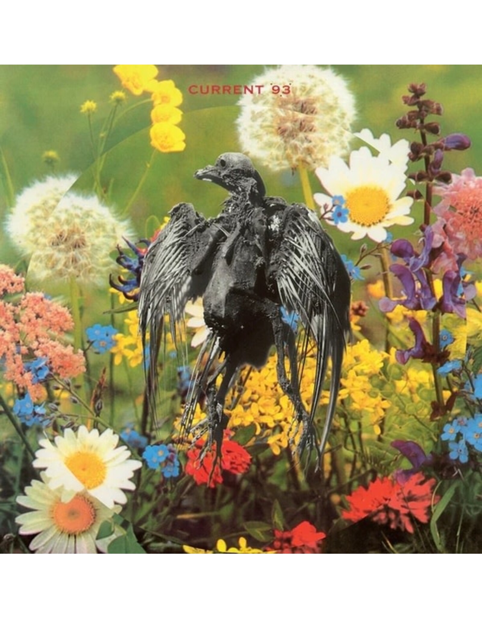 Cashen's Gap Current 93: Swastikas For Noddy (picture disc) LP