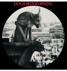 Cashen's Gap Current 93: Dogs Blood Rising (picture disc) LP