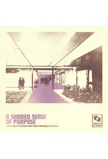 Castles In Space Warrington-Runcorn New Town Development Plan: A Shared Sense of Purpose LP