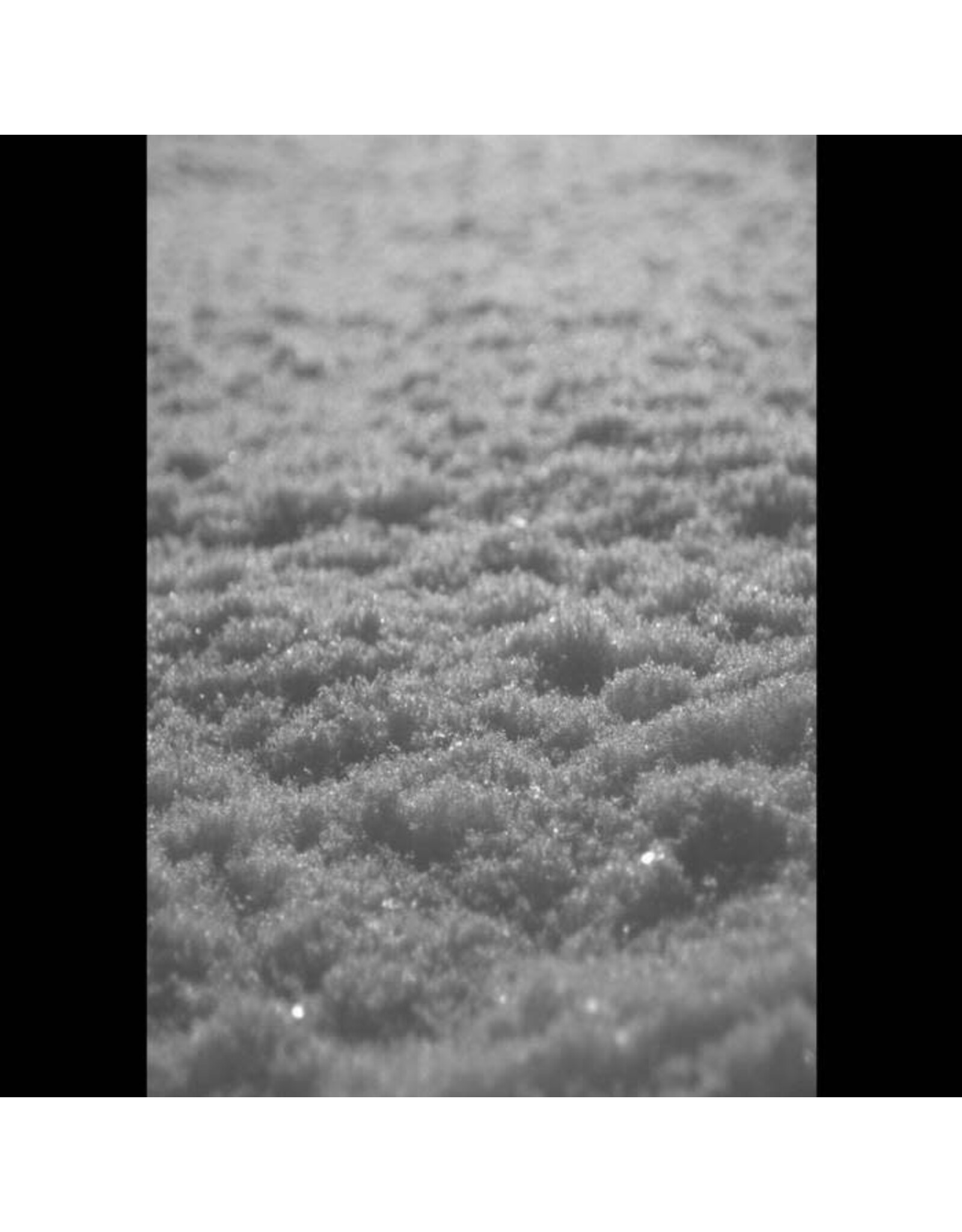Kunsthall Paysage D'Hiver: Schnee (2LP) LP