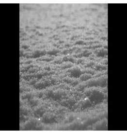Kunsthall Paysage D'Hiver: Schnee (2LP) LP