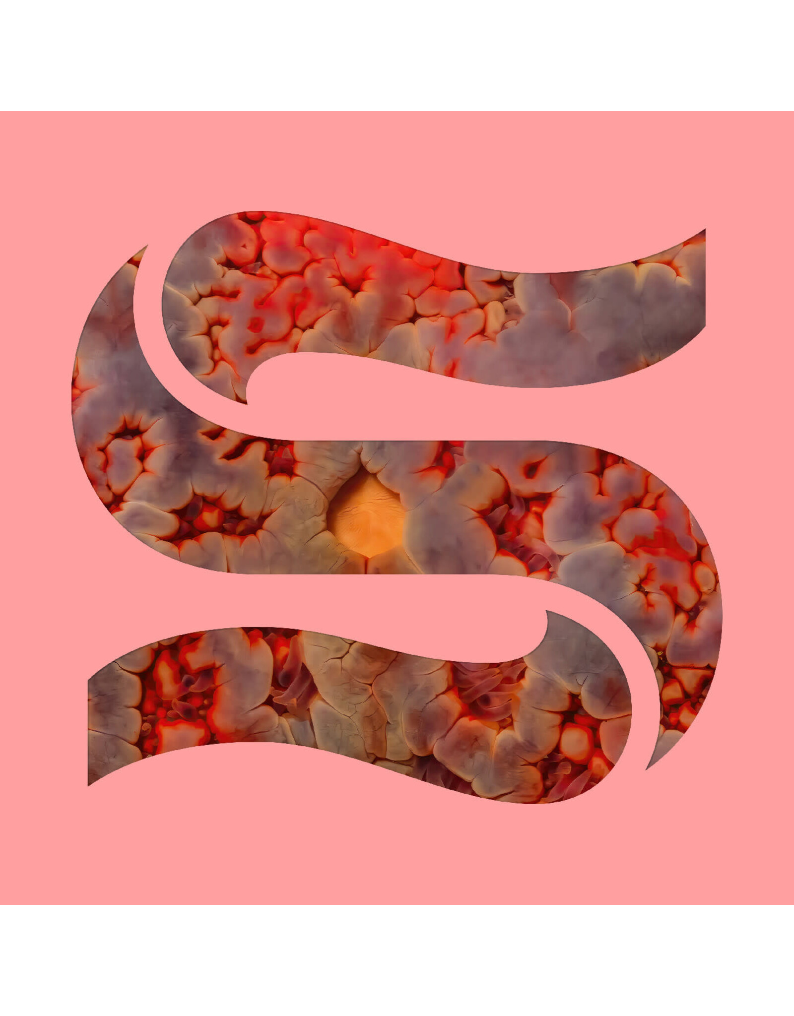 Smith, Kaitlyn Aurelia & Joe Goddard: Neptunes EP LP
