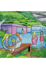 Legowelt: A Field Guide To The Void LP