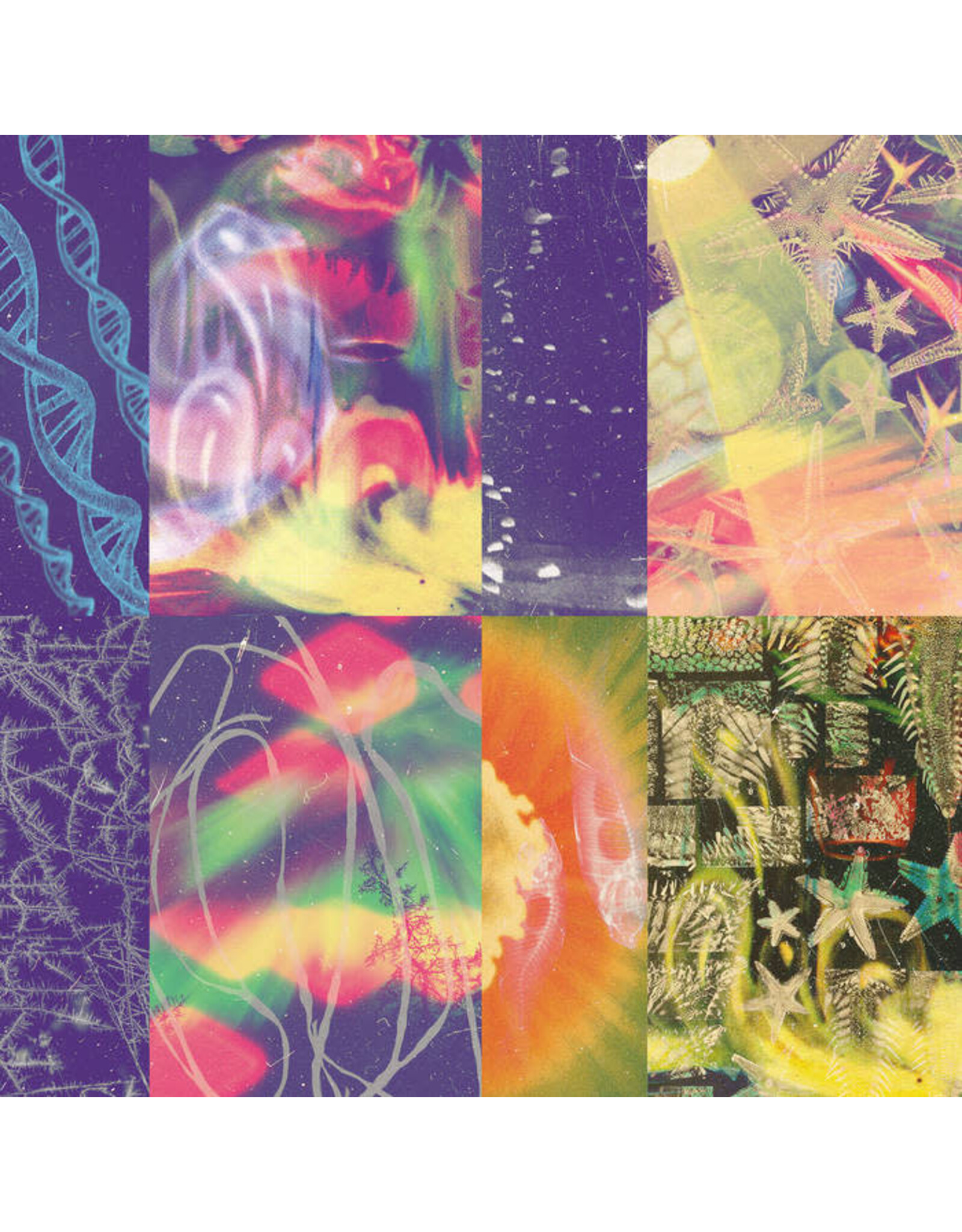 Paper Bag Nap Eyes: Neon Gate LP