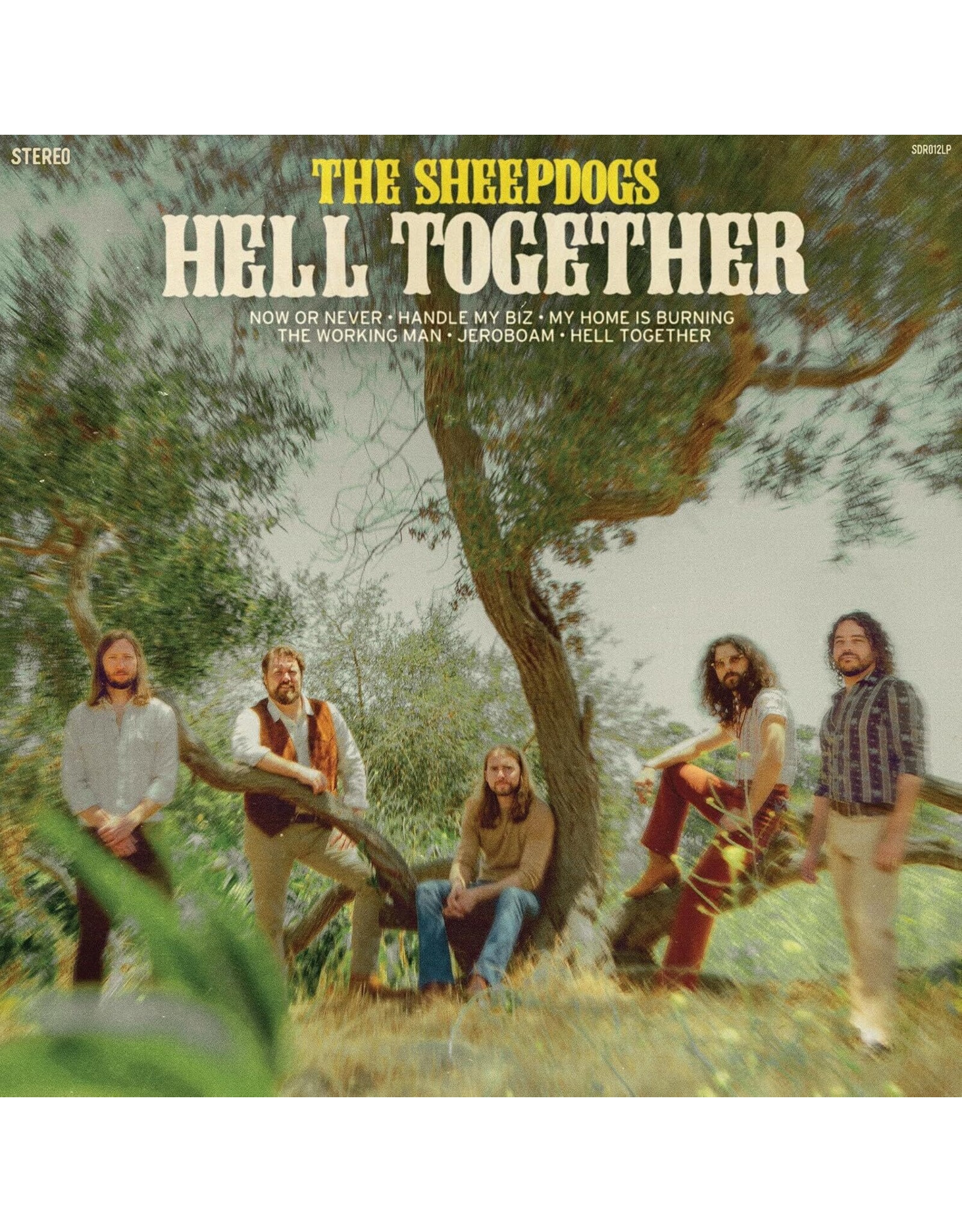 Self Release Sheepdogs: Hell Together LP
