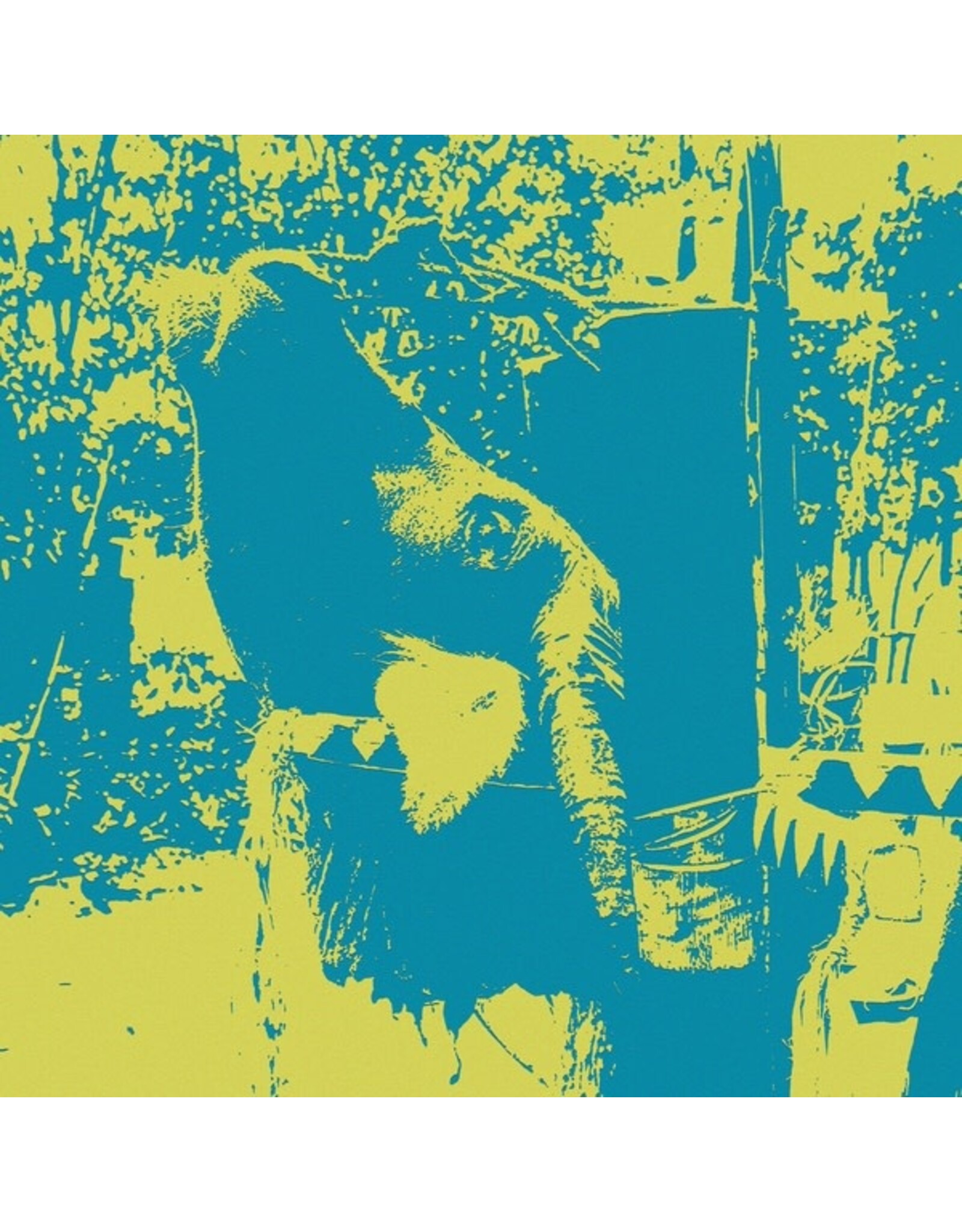 Akuphone Ratta, Vincenzo Della: Gongs of the Bahnar: A Buffalo Sacrifice Ceremony LP