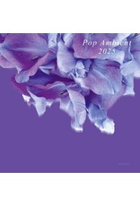 Kompakt Various: Pop Ambient 2025 LP