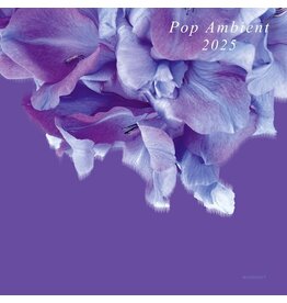 Kompakt Various: Pop Ambient 2025 LP
