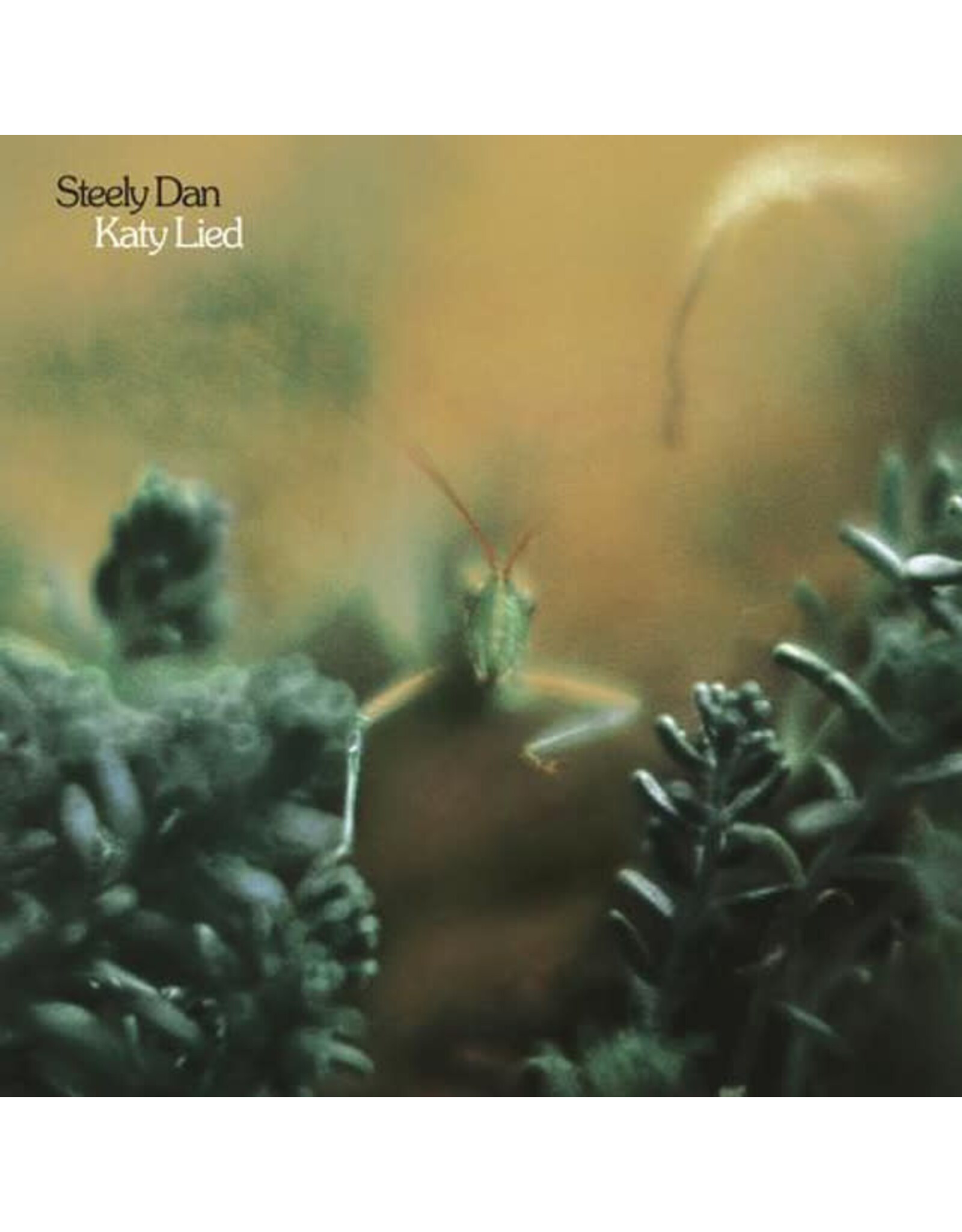 Geffen Steely Dan: Katy Lied LP