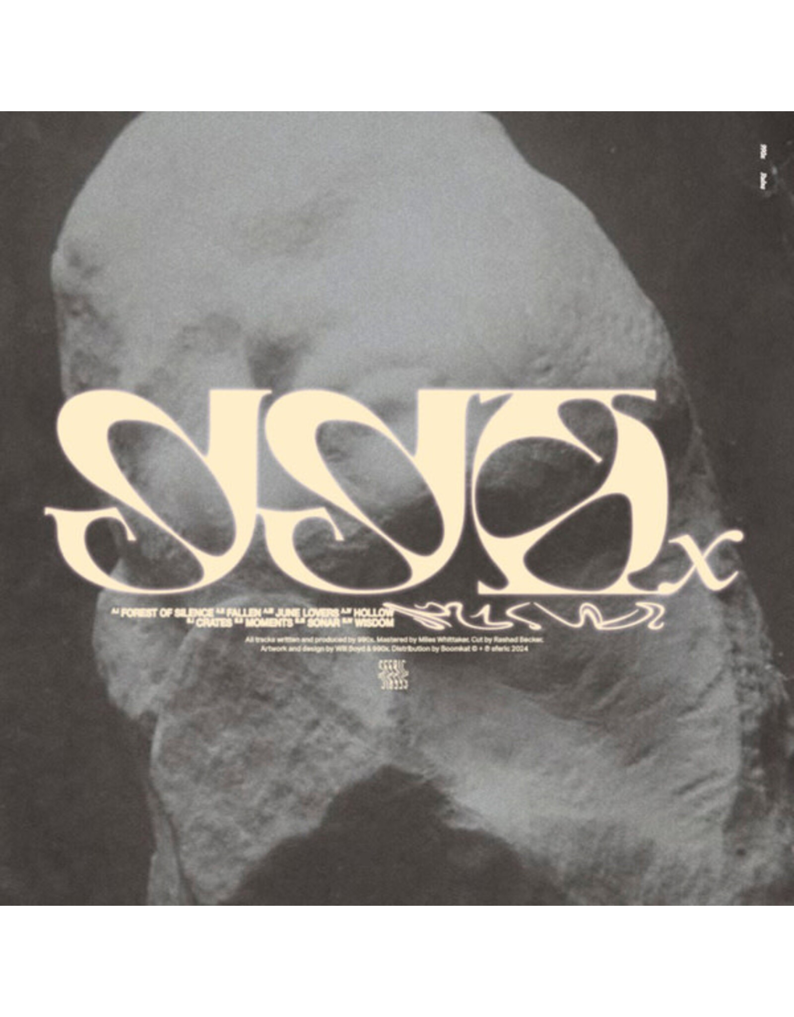 sferic 990X: Ruins LP
