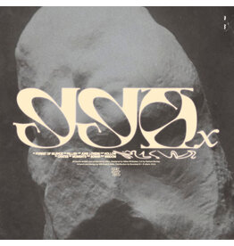 sferic 990X: Ruins LP