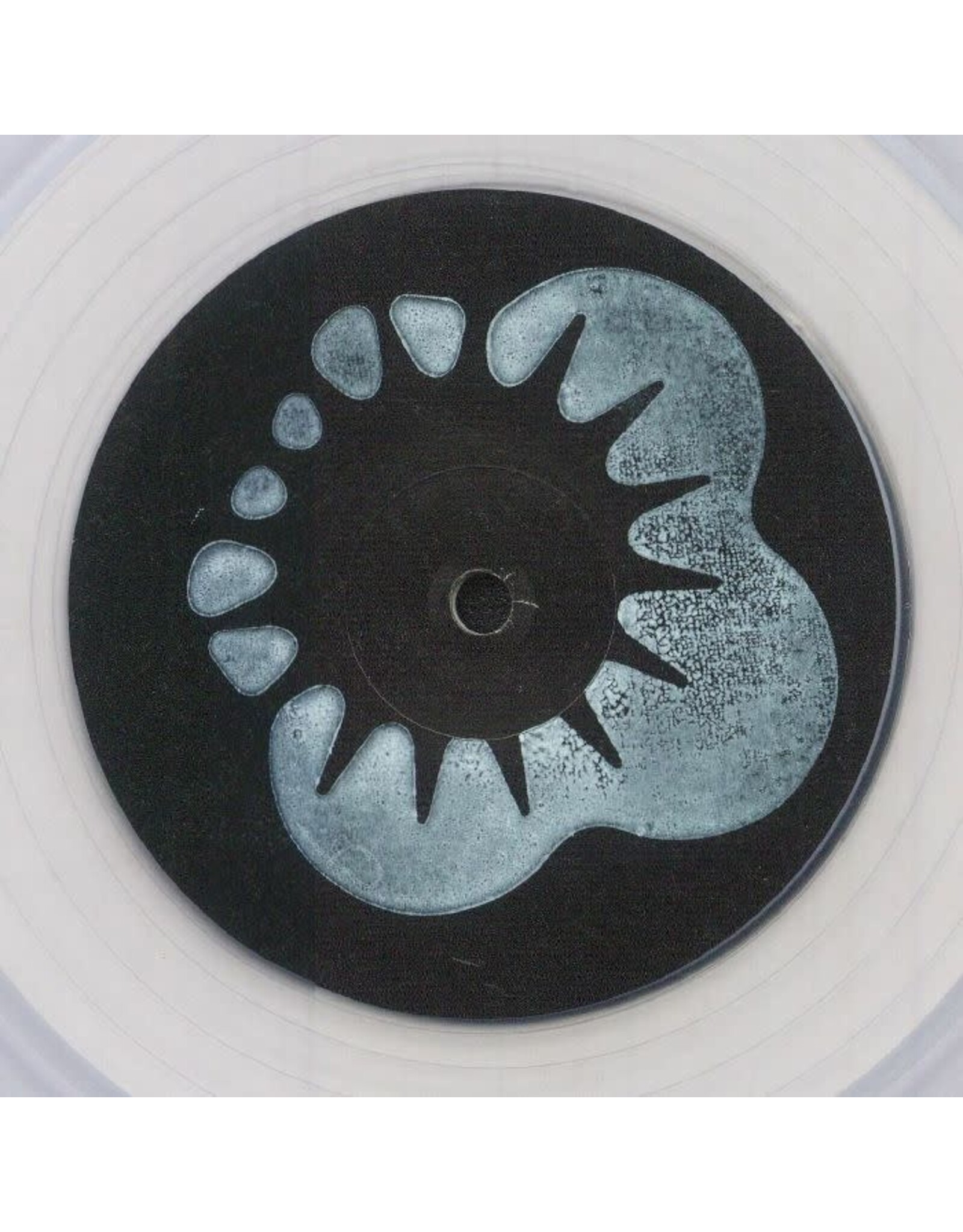 Self Release Carrier: Neither Curve Nor Edge / In Spectra LP