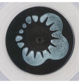 Self Release Carrier: Neither Curve Nor Edge / In Spectra LP
