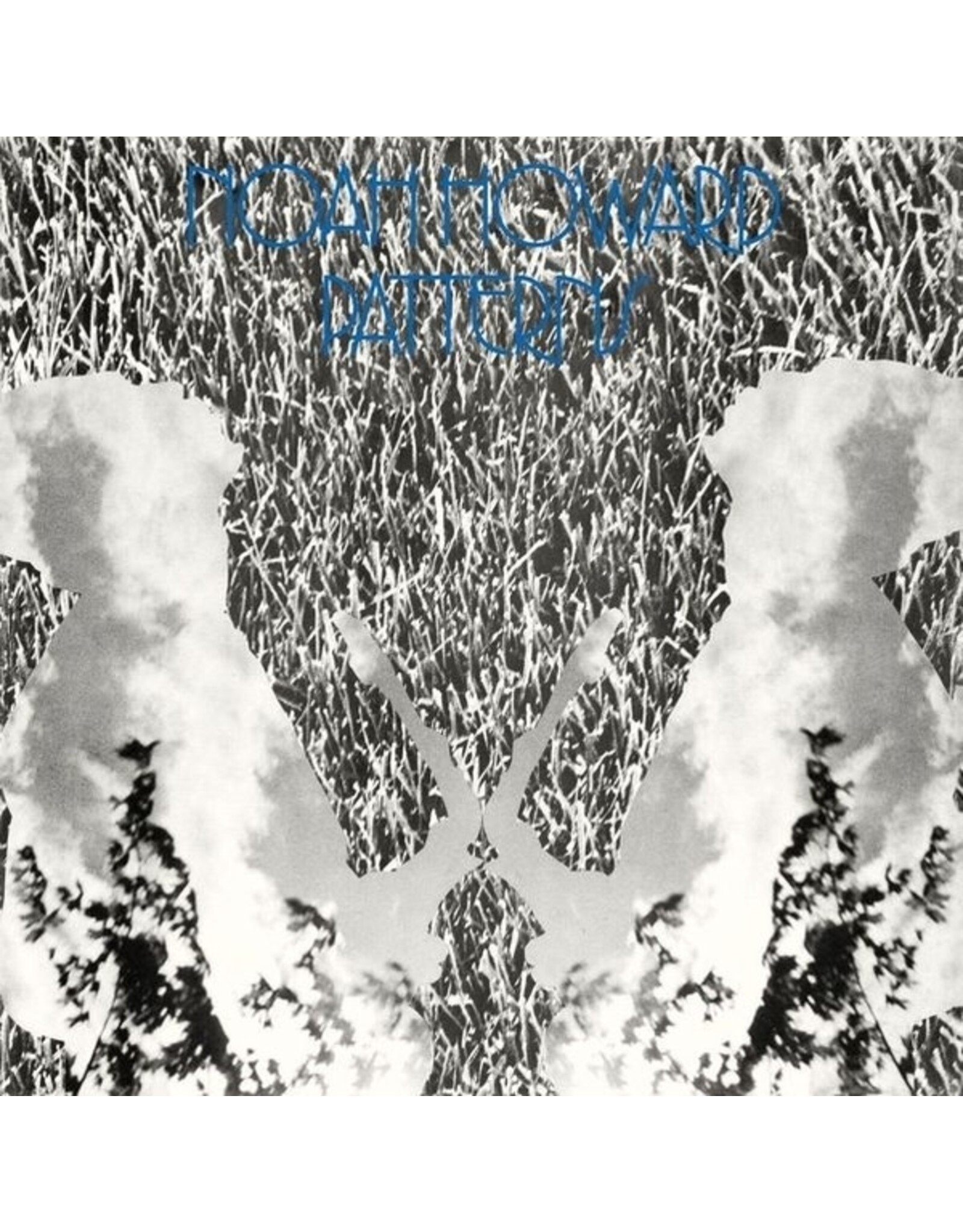 Aguirre Howard, Noah: Patterns LP