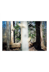Dillon, Beatrice: Seven Reorganisations LP